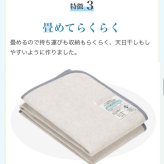 ２枚セット 除湿 除湿シート 汗対策 湿気湿気取り 130×180 ダブル 西川 ドライウェル 抗菌防臭 高吸湿 モイスファイン 防カビ マット パッド マットレス 布団下 グレー 抗菌加工 除湿マット 新生活