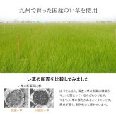シーツ 敷きパッド 国産 日本製 さらさら 吸汗 調湿 消臭 お手入れ簡単 ベビーサイズ 約70×120cm 新生活