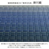 敷物 花ござ 国産 純国産 日本製 い草 掛川織 モダン 抗菌防臭 自然素材 江戸間6畳 約261×352cm