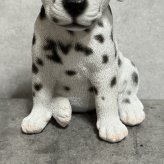 犬の置物 woobia ウービア お座りダルメシアン 子犬 リアル動物オーナメント 高さ12cm 青い瞳 イギリス職人手彩色 玄関 リビング 棚 インテリア 犬好き 誕生日 新築祝い 記念日 お祝い ギフト プレゼント かわいい