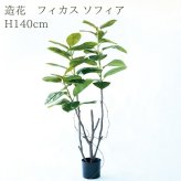 観葉植物 造花 フィカス ソフィア BROWN 全高約140cm 大型 ゴムの木 フェイクグリーン 本物そっくり おしゃれ インテリア 人工観葉植物 アーティフィシャルグリーン オフィス 店舗 ホテル 開店祝い 室内 フェイク