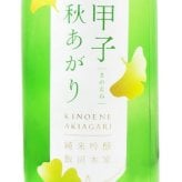 甲子 ( きのえね ) 純米吟醸 秋あがり 720ml  / 千葉県 飯沼本家【 9367 】【 日本酒 】【 ハロウィン 贈り物 ギフト プレゼント 誕生日 結婚のお祝い 】