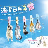 【5種類セット】 ガチャ ガチャガチャ コンプリート 中身 洗濯日和2