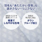 掛け布団 スリーピュア 西川 羽毛肌掛け布団 ダウンケット 洗える ウォッシャブル ダブル 春用 夏用 秋用 ダウン70%フェザー30% 0.25kg 羽毛肌掛けふとん 羽毛布団 羽毛ふとん しっかり洗浄 フレッシュパック 秋向け 抗菌 ポリエステル