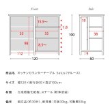キッチンカウンター ゴミ箱収納 間仕切り レンジラック Salus ごみ箱上 ラック レンジ台 レンジボード 大型レンジ対応 家電収納 ハイテーブル 収納 ごみ箱収納ラック キッチンテーブル カウンターテーブル 新生活