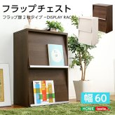 収納家具 ラック フラップ扉2枚タイプ DS60-F2--WAL ウォールナット ホームテイスト ディスプレイ シリーズ 本棚 ブック フラップ フラップチェスト
