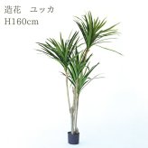 観葉植物 造花 ユッカ BROWN 全高約160cm 大型 フェイクグリーン 本物そっくり おしゃれ インテリア 人工観葉植物 アーティフィシャルグリーン オフィス 店舗 ホテル 開店祝い 室内 青年の木 エレファンティペス フェイク