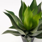 観葉植物 造花 アガベ アテナータ BROWN 全高約50cm 卓上・小型 フェイクグリーン 本物そっくり おしゃれ インテリア 人工観葉植物 アーティフィシャルグリーン オフィス 店舗 ホテル 開店祝い 室内 ミニ 多肉植物 フェイク