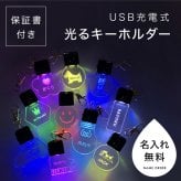 光る キーホルダー 名前 保証書付き 犬 迷子札 ライト 子供 夜道 夜の散歩 名入れ 名前入り LED 交通安全 可愛い 夜間 暗闇 ネームプレート USB 充電 名入れ 夜間散歩 夜散歩 事故防止 光るキーホルダー おしゃれ ランニング