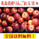 青森県産 りんご　訳あり 紅玉　10ｋｇ　送料無料！