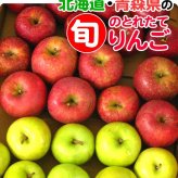 青森りんご 9kg 訳あり 送料無料 福袋 北海道産 青森産 リンゴ ※沖縄は送料別途加算 到着日指定不可