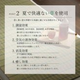 国産 い草 い草シーツ ネゴザ 寝ござ シンプル さらさら シングル 約88×180cm