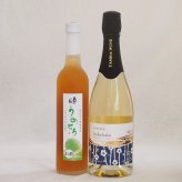 梅酒特集2本セット(京都フルーツ白梅スパークリングワインやや甘口(京都) 奥の松純米酒ベースうめとろ(福島)) 750ml×1本 500ml×1本