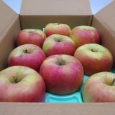 長野県産りんご ぐんま名月 秀品 ご贈答 果物 フルーツ お取り寄せ 産地直送 【送料無料(一部地域除く)】