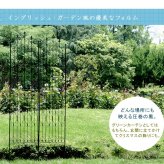 アイアンフェンス220 ハイタイプ 4枚組 ブ 送料無料 フェンス アイアン ガーデンフェンス ガーデニング 枠 柵 仕切り 目隠し 境目 クラシカル アンティーク トレリス ベランダ つる 薔薇 バラ 朝顔 園芸 ラティス ブラック スチール 屋外