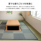 夏ラグ 夏用カーペット 掘りごたつ対応 い草ラグ 約191×191cm 正方形 中抜き 市松模様 抗カビ 消臭 ござ 炬燵