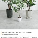 照明 ライト パキラ 観葉植物 人工 フェイクグリーン 室内 リビング オフィス 一人暮らし 緑 インテリア 光触媒 空気清浄 消臭 抗菌 防汚 ホルムアルデヒド分解 おしゃれ 高さ150cm 造花 植木 鉢植え 新築祝い 開店