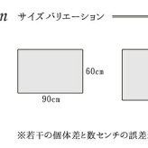 ラグ カーペット 玄関 マット トルコ ウィルトン 織り 約60×90cm 抗菌防臭 消臭 へたりにくい ギャベ