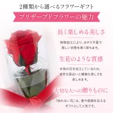 くま ぬいぐるみ バラ プリザーブドフラワー ソープフラワー お花 クリスマス 退職 入学 プロポーズ 誕生日 記念日 結婚記念日 恋人 女性 父 妻 嫁 内祝い お返し 祖父 プレゼント 米寿 喜寿 女友達  プレゼント 花 ギフト 50代 60代 70代 ははの日 送料無料