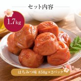 梅干し 紀州南高梅 つぶれ梅 1.7kg 850g×2パック 塩分約3% 減塩 はちみつ梅 蜂蜜 大粒 3L 4L 訳あり 紀州 和歌山県産 お徳用 果肉たっぷり ご飯のお供 ギフト