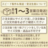 還暦祝いTシャツ 名入れ 猫が全力でお祝い！還暦ニャンダフルTシャツ全2色 半袖 綿100％ 60歳 還暦祝い じいじ ばあば 還暦プレゼント 敬老の日 記念品 還暦記念品