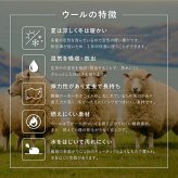 ラグ カーペット マット センター おしゃれ 新築 リフォーム 室内 ギャッベ 厚手 ウール かわいい 羊毛 オールシーズン対応 エスニック エントランスマット 海外 インテリア インド製 送料無料 玄関マット 約45×75cm
