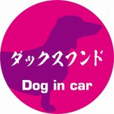 Dog in car ドッグインカー ステッカー カーステッカー ダックスフンド 毛筆書体 ピンクパープル シール 煽り運転対策 カーサイン
