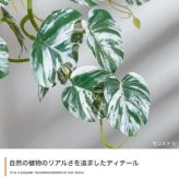 【高さ27cm】光触媒人工観葉植物 モンステラ 幅35cm×奥行45cm×高さ27cm コンパクト 天然木 お部屋に気軽に飾れて空間を美しく彩るフェイクグリーン 本物の植物のようなリアルな質感とインテリアに馴染む風合いが魅力です