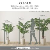 お手入れ簡単 フェイクグリーン オリーブ Lサイズ(180cm) 新築祝い 開店祝い