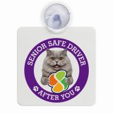 カーサイン 高齢者マーク SENIOR SAFE DRIVER ブリティッシュロングヘア 車内用 吸盤タイプ 収れん火災防止タイプ 肉球 日本製 車 ステッカー