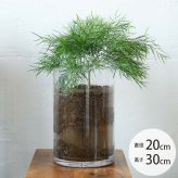 FOYER ホワイエ PVシリンダー 直径20cm×高さ30cm