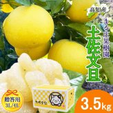 土佐文旦 野囲い 文旦 大玉 3.5kg 大玉 贈答用 3L/4L 土佐市 まる庄果樹園 産直 山間部栽培 ぶんたん 産地直送 高知産 ジューシー まろやか 高知 ブンタン 農家直送 ネコちゃん箱入り 届いてすぐに食べれる追熟文旦【送料無料】
