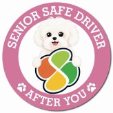 カーサイン 高齢者マーク SENIOR SAFE DRIVER マルチーズ マグネット 強力 直径13cm 肉球 日本製 車 ステッカー