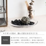 【最強の魔除け】 パワーストーン 浄化セット モリオン 黒水晶 高品質 さざれ石 7種類 原石 浄化皿 ブレスレット ネックレス の浄化に アメジスト スモーキークォーツ クリスタル 家 風水 厄除け 置物 グッズ 誕生日 一人暮らし プレゼント