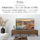 テレビボード 板扉/幅120cm テレビ台 ローボード TVボード 国産 日本製 セミ完成品 リビングボード テレビラック リビング収納 TV台 AVボード おしゃれ ナチュラル ウォールナット ブラウン オーク ホワイト ヴィンテージ〔テレビ台FV〕