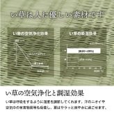 夏ラグ 夏用カーペット 純国産 い草 上敷き カーペット 格子柄 本間8畳 (約382×382cm） 新生活