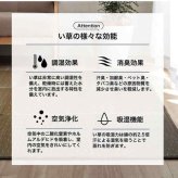 ラグ 小林製薬 持続性抗菌剤 KOBA-GUARD 制菌 抗菌防臭  滑り止め 不織布 夏 い草 グラデーション 約190×190cm