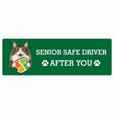 カーサイン 高齢者マーク SENIOR SAFE DRIVER ノルウェージャンフォレストキャット ステッカー シール 長方形 20x6.7cm 肉球 日本製 車