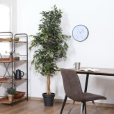 ガーデン エクステリア 観葉植物 フィカス １１２４ Ａ フェイクグリーン 植物 緑 グリーン 癒し 植木 インテリア ガーデニング おしゃれ カフェ リビング プランター ギフト プレゼント 贈り物 オフィス 会社 枯れない 簡単 手入れ 人気 樹木