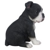 置物 woobia ウービア 犬 ボステリ 右向きボストンテリア 黒白 高さ16.2cm 子犬 タキシード犬 リアル 本物そっくり イギリス生まれ 職人手彩色 縁起物 戌年 玄関 インテリア 新築祝い 引っ越し祝い 開店祝い 出産祝い 誕生日 お祝い ギフト プレゼント 犬好き ボストンテリア好き