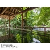 ５万円コース 潮風 -しおかぜ-「5つ星の宿」ギフト  カタログギフト 旅行 プレゼント 誕生日 記念日 父/母の日 敬老の日 還暦祝い イベント景品【送料無料】