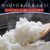 富山県産 コシヒカリ【内容量が選べる5kg~30kg】雑穀米本舗  富山県 選べる 白米  令和8年産 単一原料米 送料無料 精米工場からの直送品
