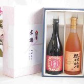実りの秋の贈り物 感謝の贈り物ボックス 香る南高梅酒 紅南高と国産ワインセット(おたる醸造 旅路orange 白ワイン やや辛口(北海道)720ml紅南高 紀州梅酒(和歌山県)720ml