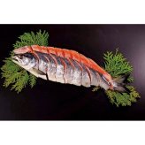 送料無料 お歳暮 北海道産新巻鮭 約1.4kg（6分割真空）  ※11/2以降の出荷予定となります。北海道・沖縄・離島は配達不可 全国送料無料 御歳暮 早割 お歳暮2026 御挨拶 お取り寄せ グルメ スイーツ