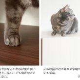 ラック あす楽 キャットトイレクローゼット 猫トイレ収納 隠す おしゃれ 家具 目隠し ペット用品 ねこ カバー 棚 収納棚 トイレ収納 猫砂飛散防止 ブラウン 猫用トイレ ナチュラル ホワイト 新生活
