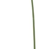 造花シングルガーベラ６色よりお選び下さい