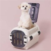 リッチェル キャンピングキャリー ファインR ダブルドア S グリーン 日本製 ペットキャリー ハード 犬 猫 小型犬 うさぎ キャリーケース キャリーバッグ ハウス クレート お出かけ ドライブ 通院