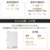 カステリミラノ 北欧 ノート アッピルクラシック 高級 ミディアム 罫線 横罫 名入れ 誕生日 りんご ネーム イタリア  紙 文具 オフィス 日記 絵 手帳 会議 ギフト プレゼント お祝い 可愛い人気 ステーショナリー 上質 CASTELLI MILANO ペンホルダー 名入れ無料