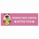 カーサイン 高齢者マーク SENIOR SAFE DRIVER ヒマラヤン ステッカー シール 長方形 15x5cm 肉球 日本製 車