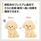 PURSUIT OF LOVE パシュートオブラブ ドッグフード 新もりもり ぼくらのげんきごはん 800g×2個